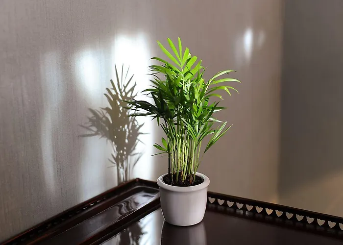 Palmenhof 4* Frankfurt am Main