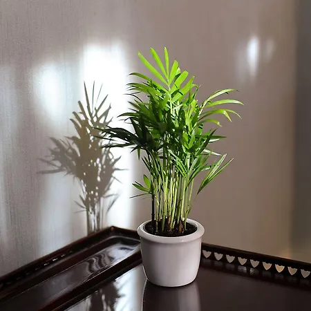 Palmenhof 4* Frankfurt am Main